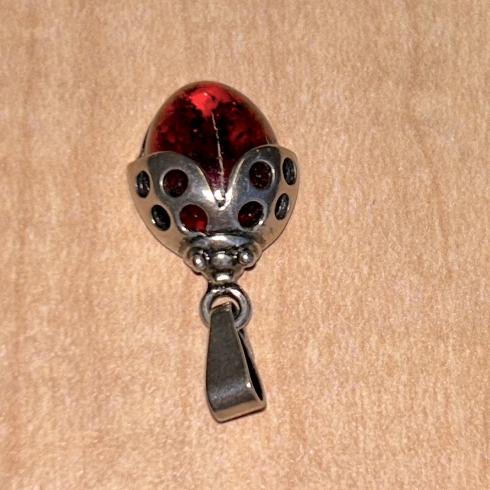 Sterling Silver and Amber 🐞 Necklace Charm